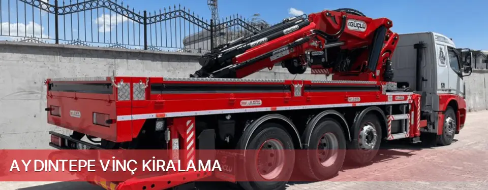 Aydıntepe İlçemi Vinç Kiralama